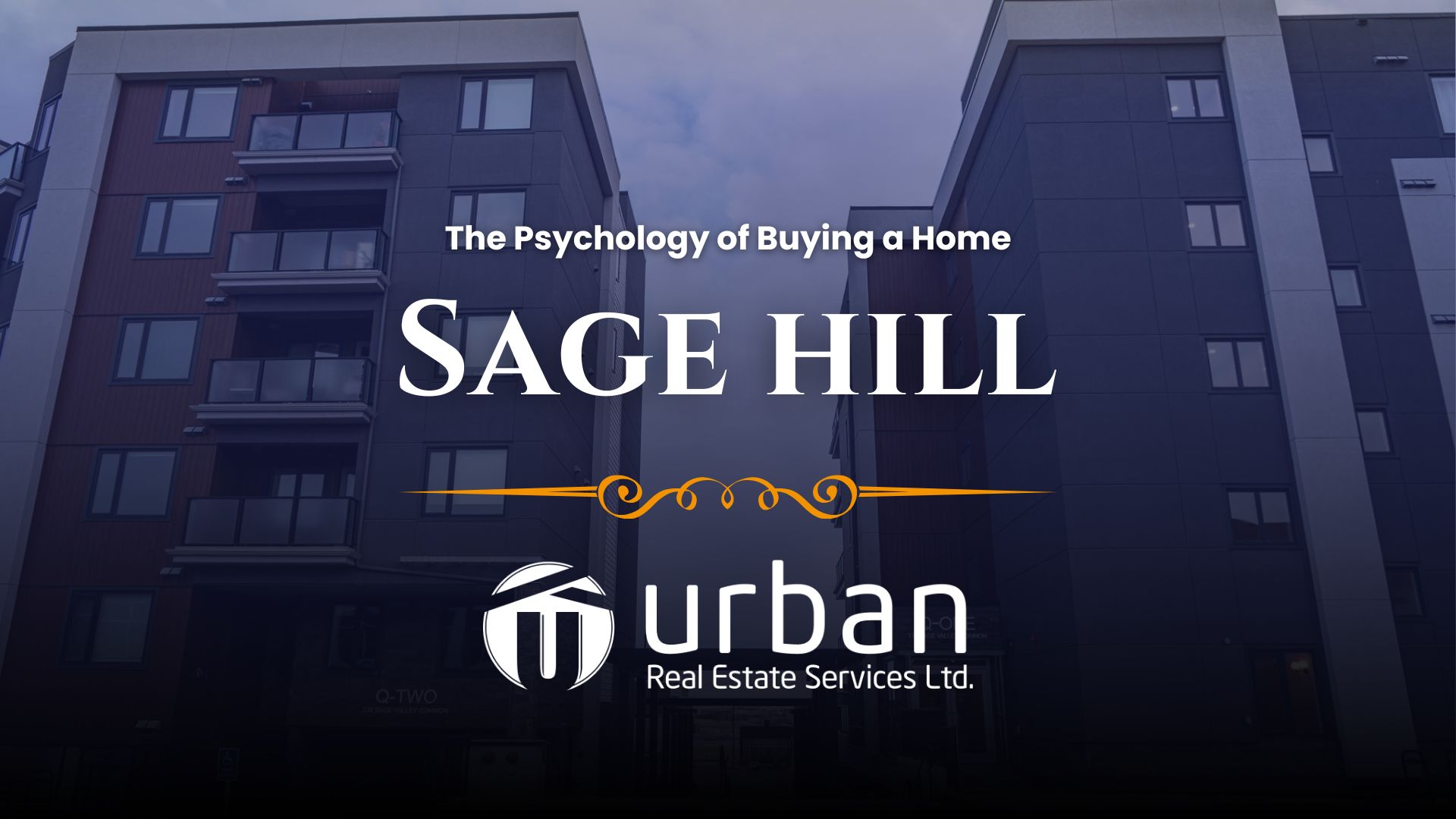 houses in nolan hill